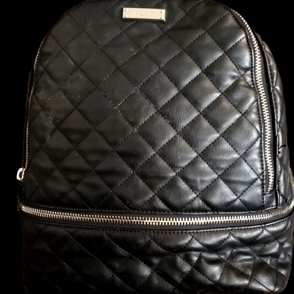 Aldo Backpack